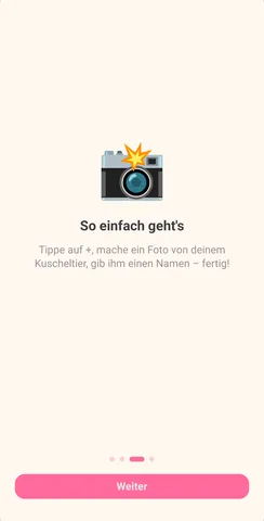 FluffyDex Onboarding auf Android: So einfach geht's